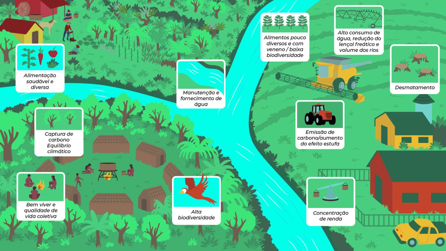 Caminhos: soluções para salvar o Cerrado - CERRADO