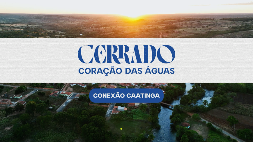 Conexão Caatinga