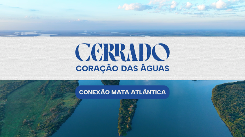 Conexão Mata Atlântica