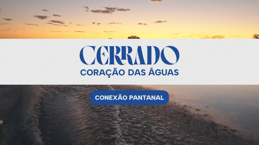 Conexão Pantanal